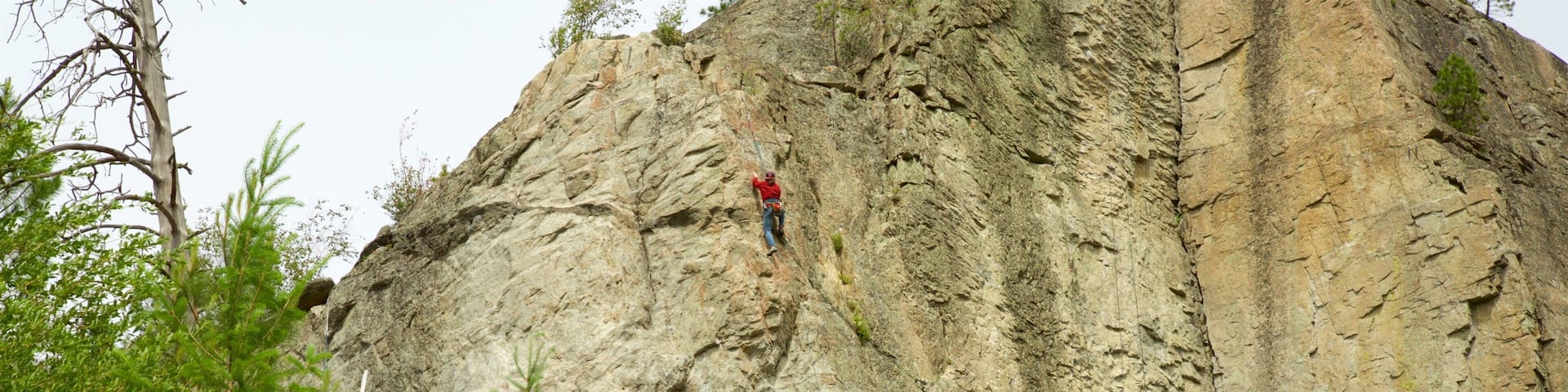 Un alpiniste escalade une falaise abrupte et rocheuse, entourée d’une végétation luxuriante.