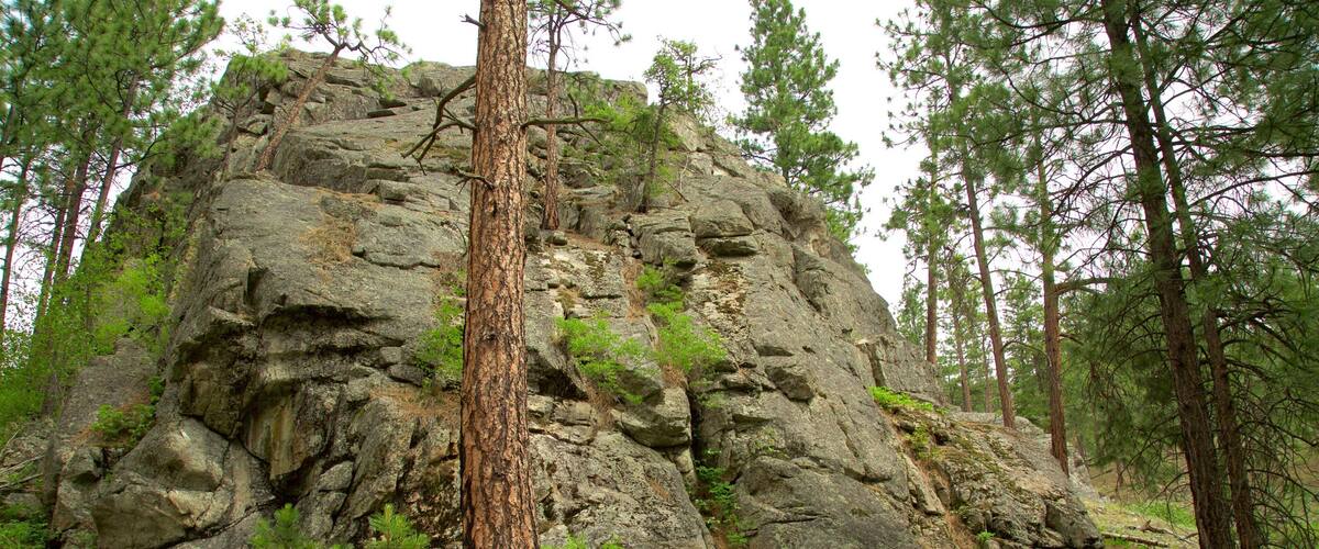 Skaha Bluffs Provincial Park which includes tranquil scenes