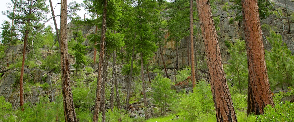 Skaha Bluffs Provincial Park toont vredige uitzichten