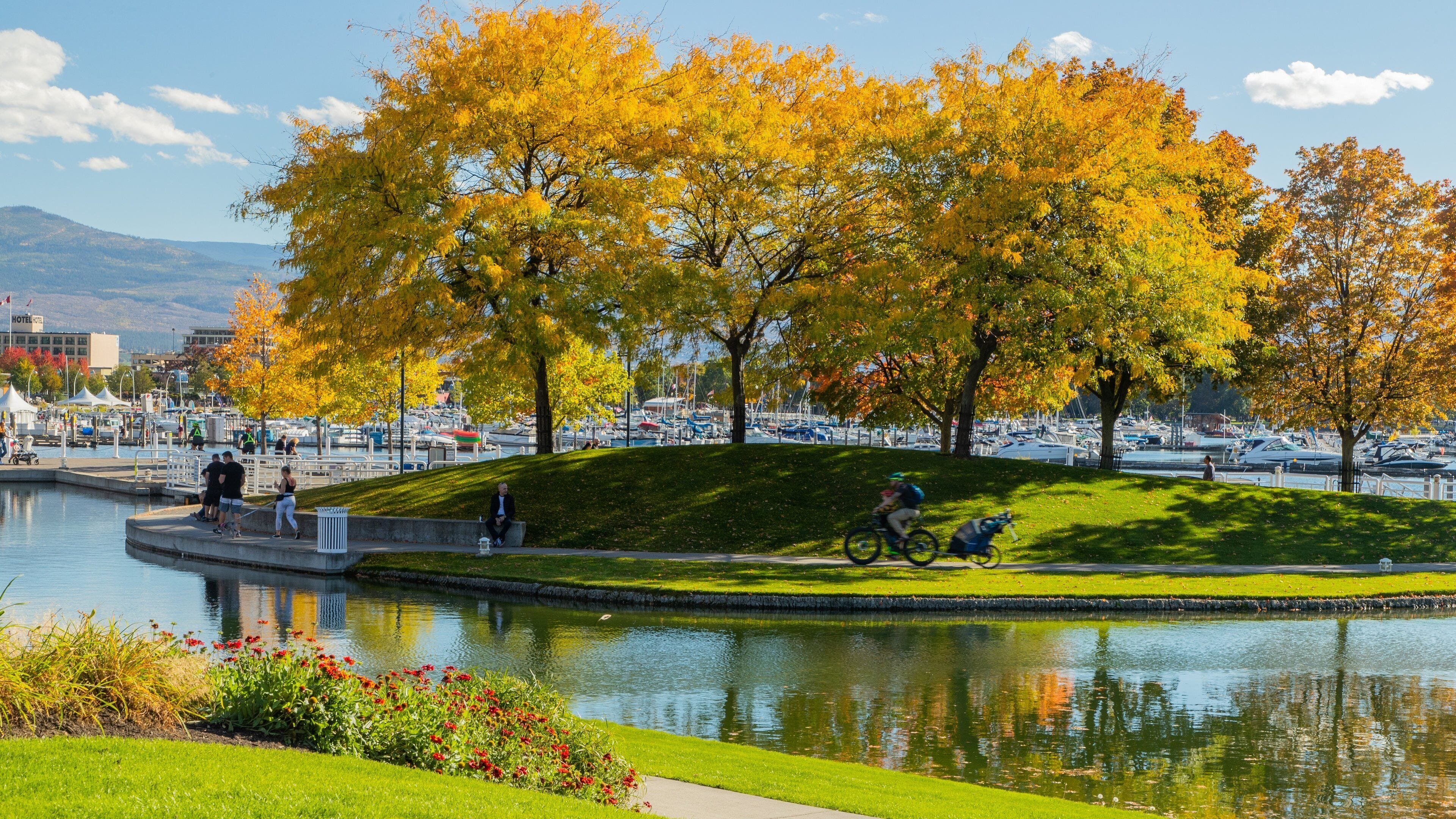 Waterfront Park which includes a pond and a garden