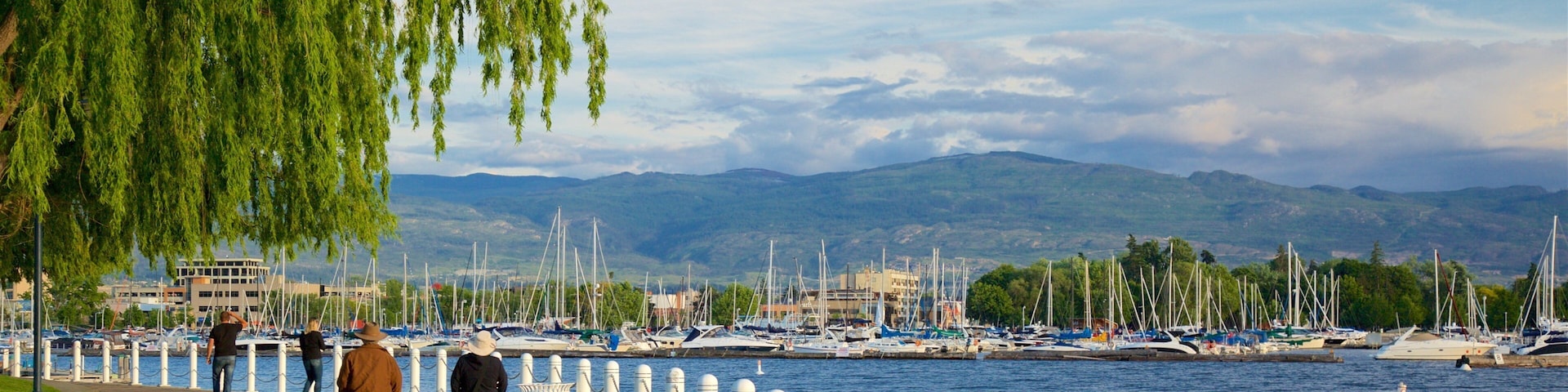 Waterfront Park featuring a bay or harbor as well as a couple