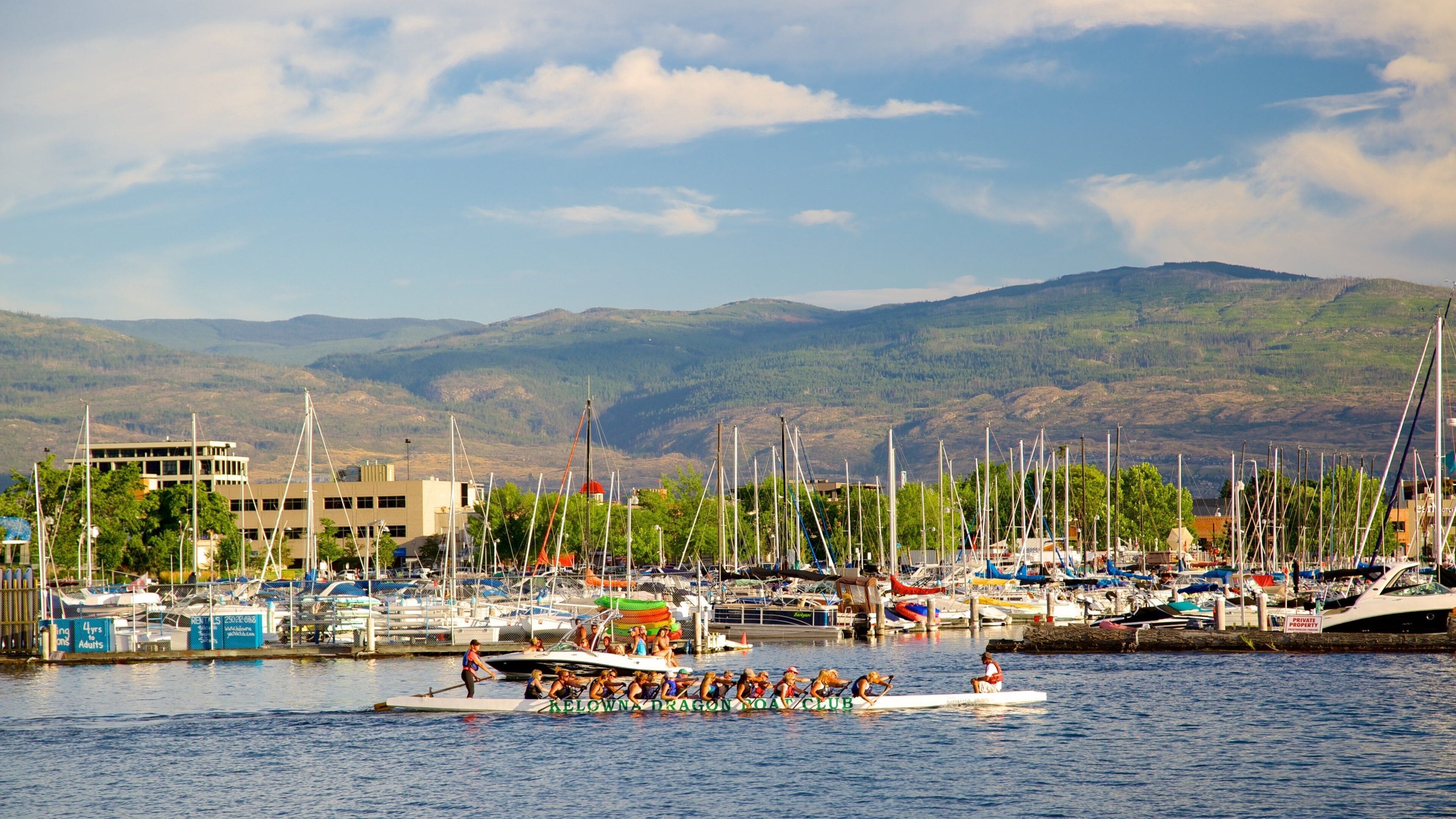 Waterfront Park featuring kayaking or canoeing and a bay or harbor as well as a large group of people