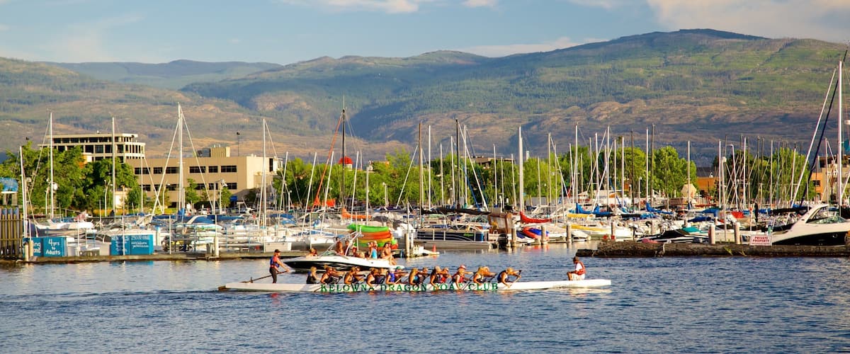 A waterfront with a rowing team in a boat, a marina with various boats, and mountains in the background.