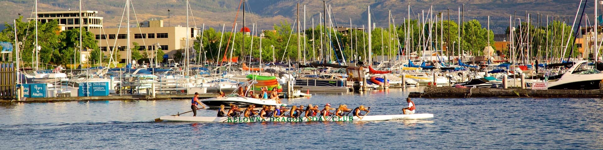 A waterfront with a rowing team in a boat, a marina with various boats, and mountains in the background.