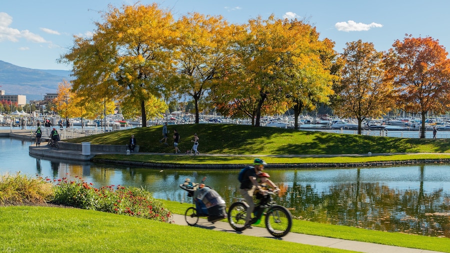 Waterfront Park which includes a pond, cycling and a park