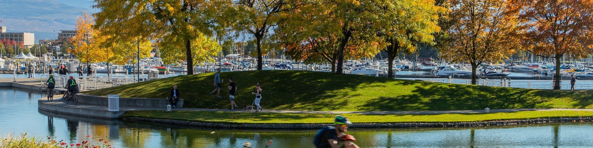 Waterfront Park which includes a pond, cycling and a park