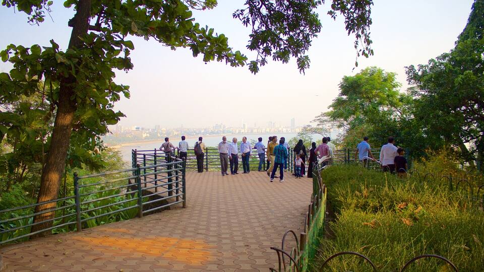 Kamala Nehru Park showing views as well as a large group of people