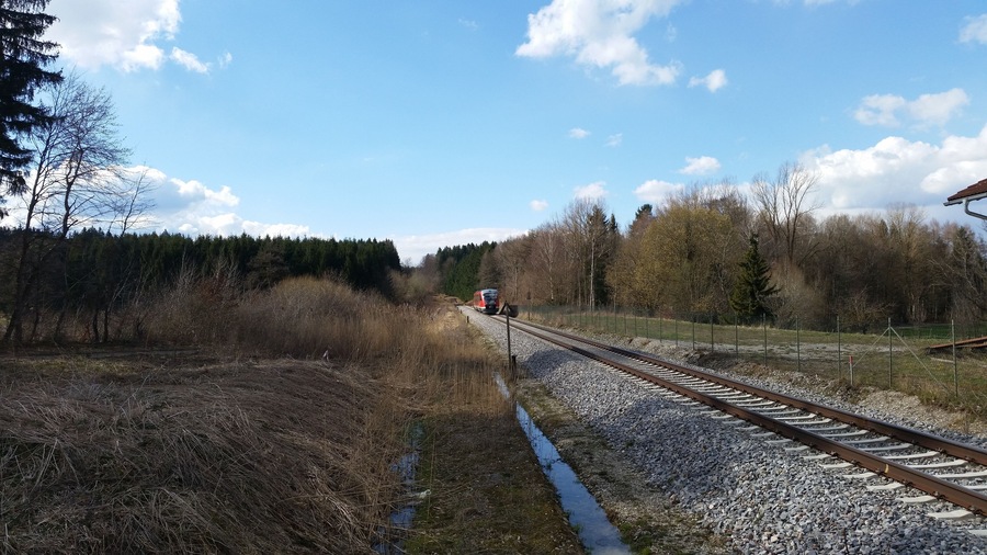 Triebzug 642-620 auf der Bahnstrecke Buchloe-Memmingen bei Unterrammingen im Unterallgäu beim Bahnübergang auf Streckenkilometer 12,707