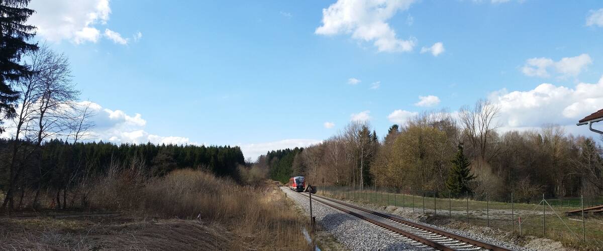 A railway track with a train approaching, surrounded by trees and a clear sky.