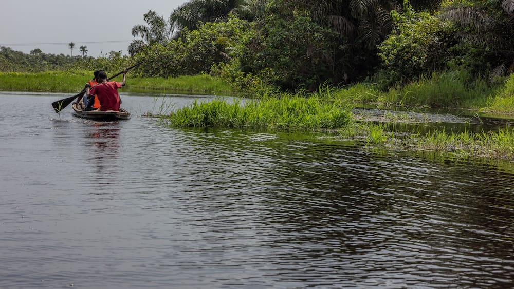 The mangrove is located in a serene environment in the coastal region of Epe. Epe is a very calm city far from the hustle and bustle of Lagos.