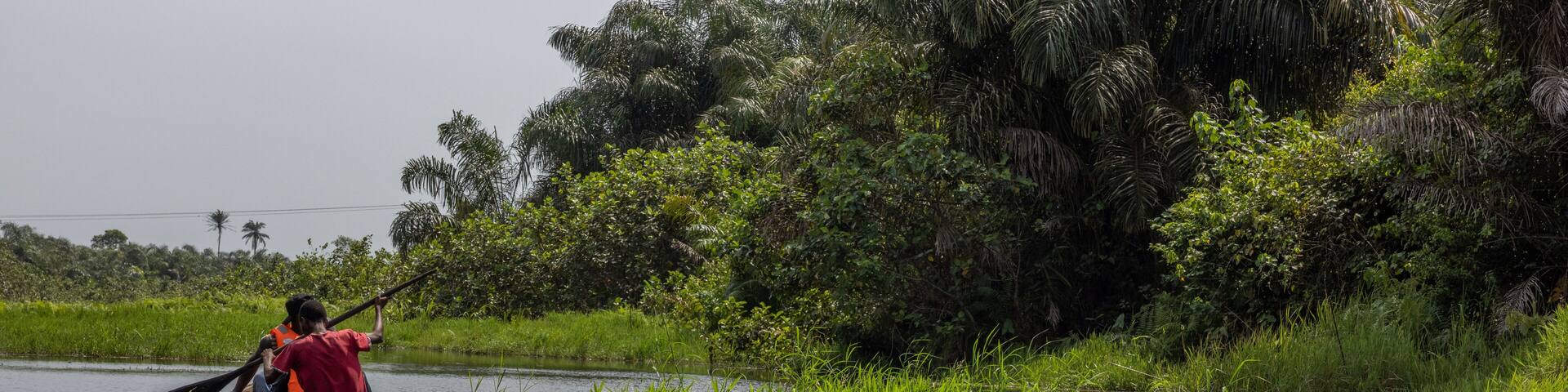 The mangrove is located in a serene environment in the coastal region of Epe. Epe is a very calm city far from the hustle and bustle of Lagos.