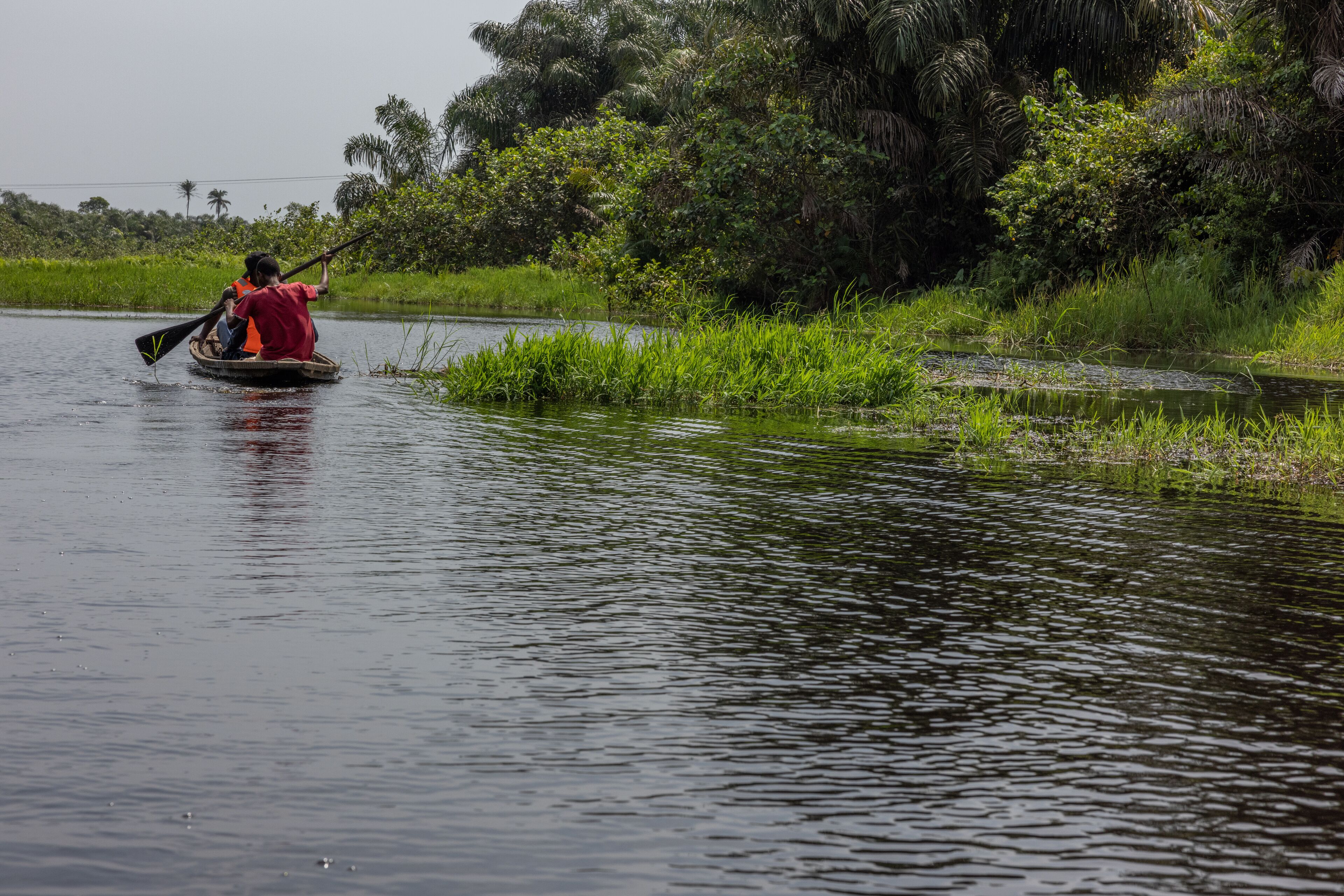 A person in a boat on a calm river surrounded by lush greenery and palm trees.
