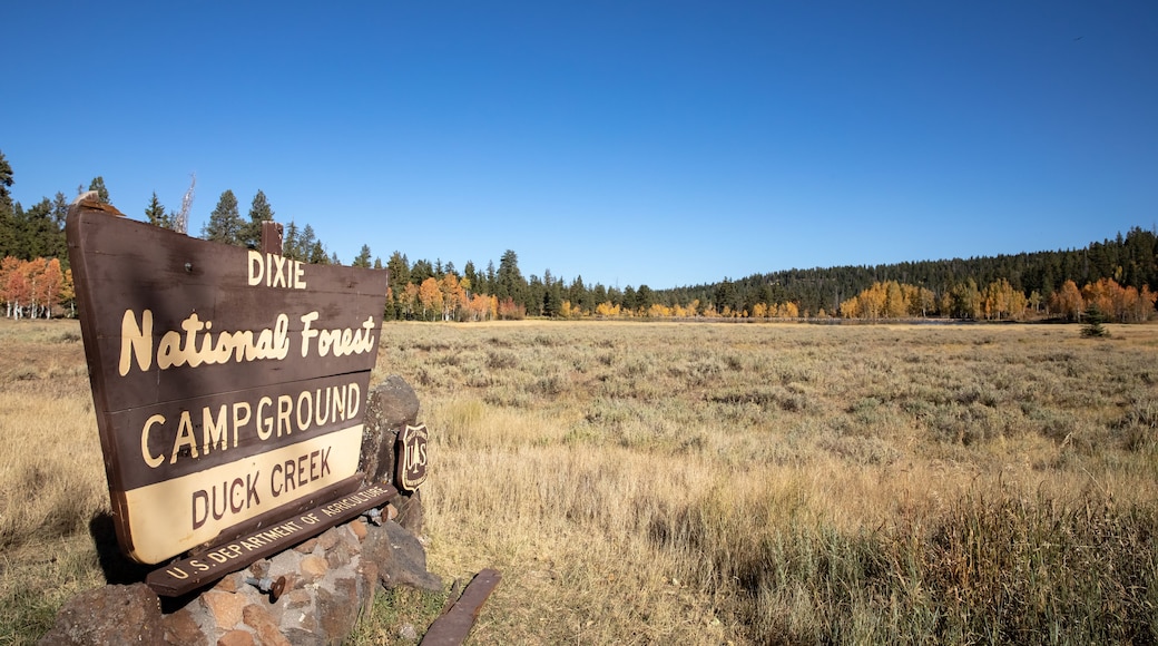 Dixie National Forest Campground Sign for Duck Creek Village in Utah