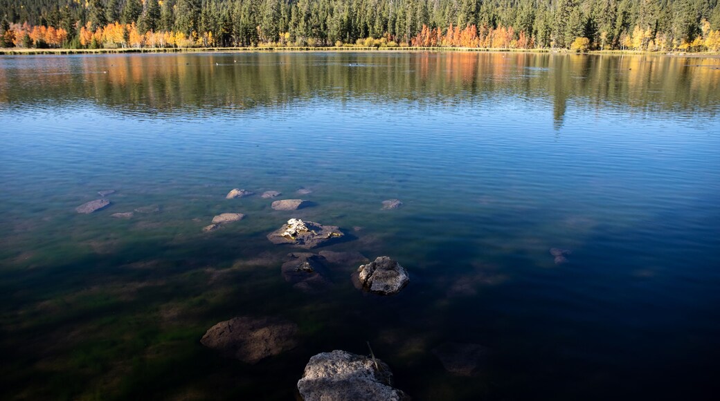Fall landscape view of Duck Creek Lake in Duck Creek Village Utah