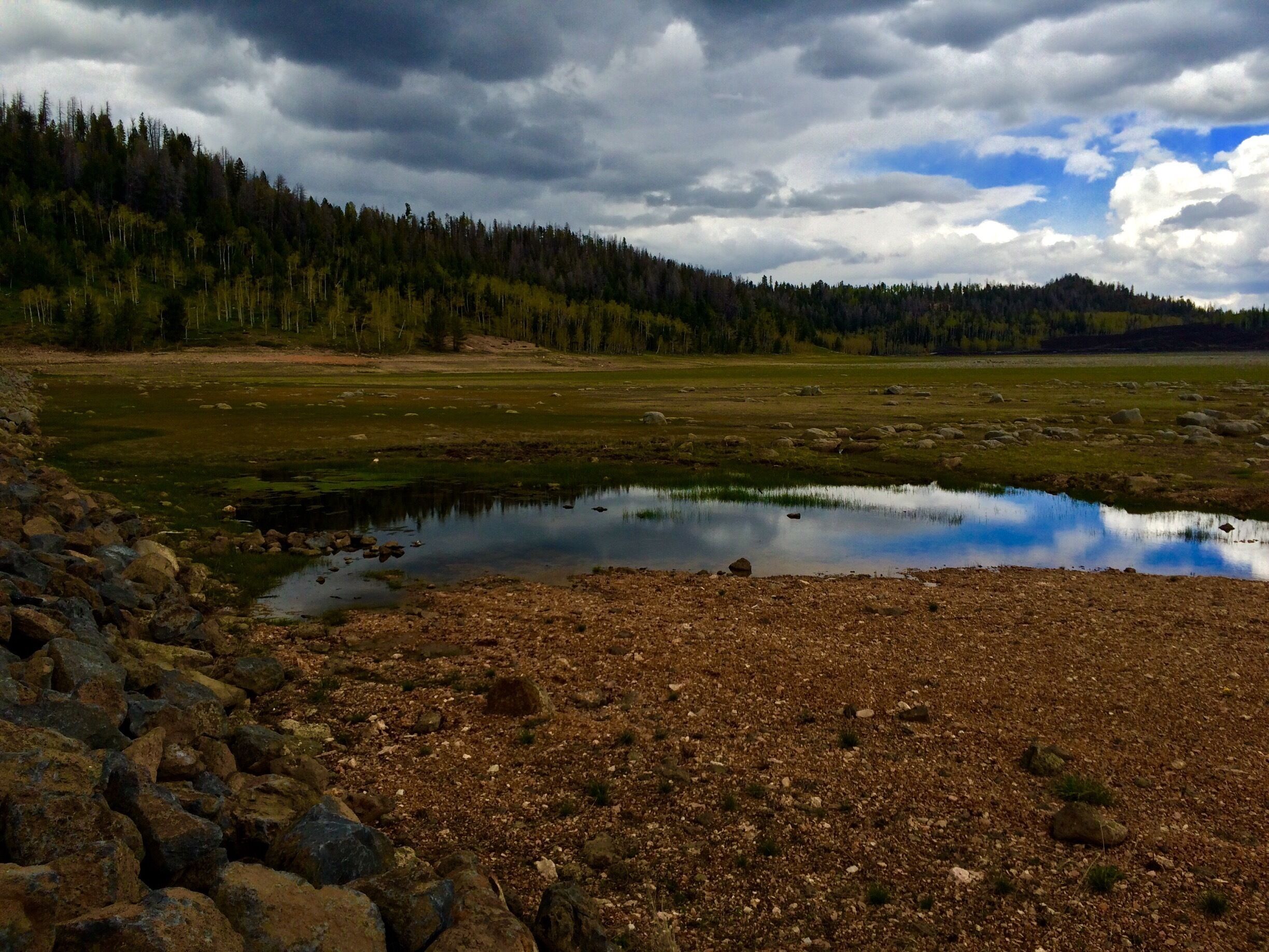 Looking out over the dissipating side of the lake. 