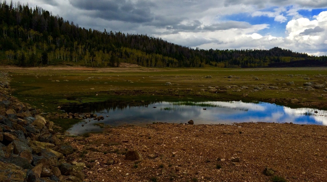 Looking out over the dissipating side of the lake.