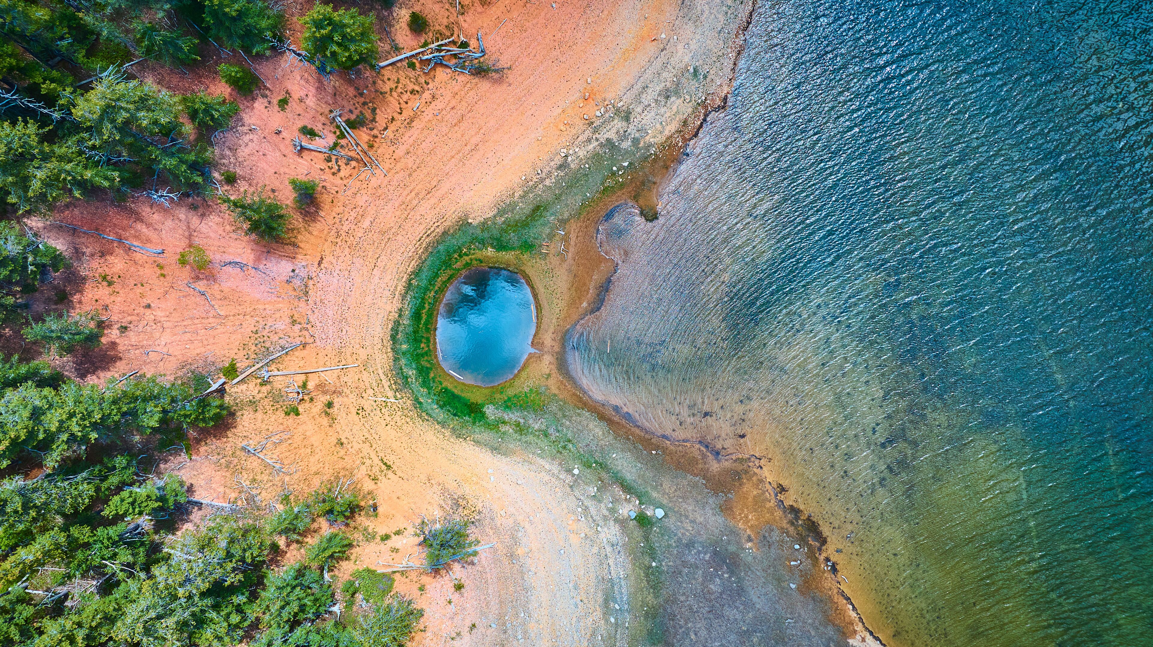 Aerial Top Down Lake Shoreline Forest and Water Patterns
