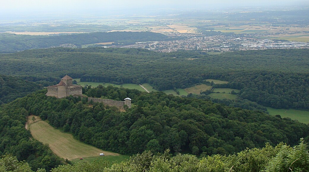 Le Château des Allymes dominant Ambérieu-en-Bugey et la plaine de l'Ain