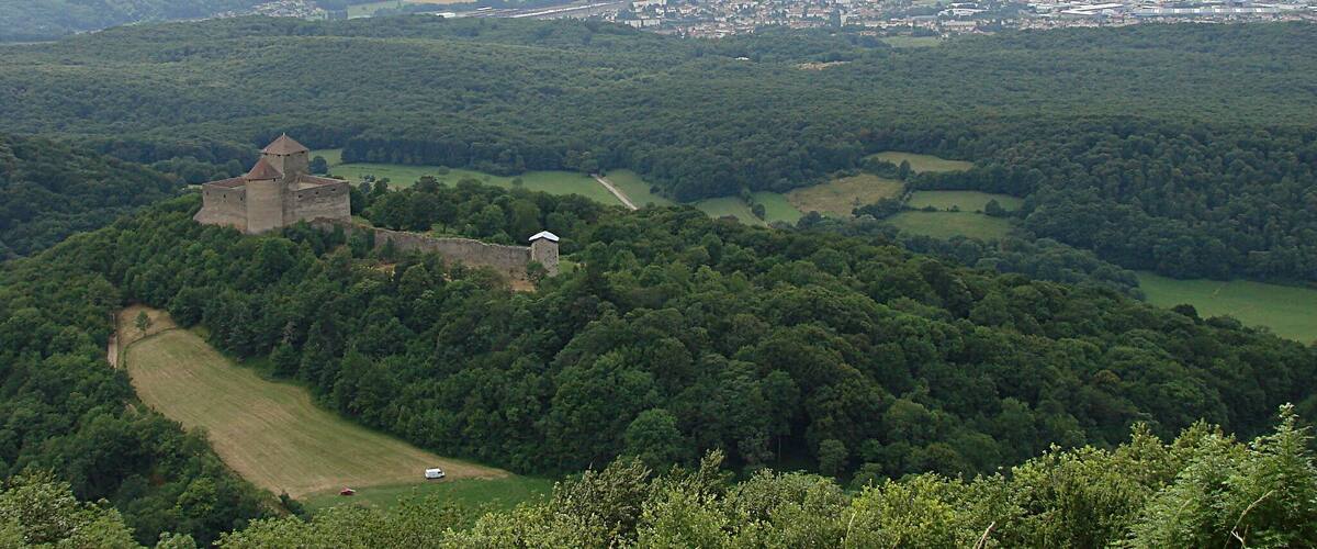 A castle on a hill overlooking a town surrounded by forests.