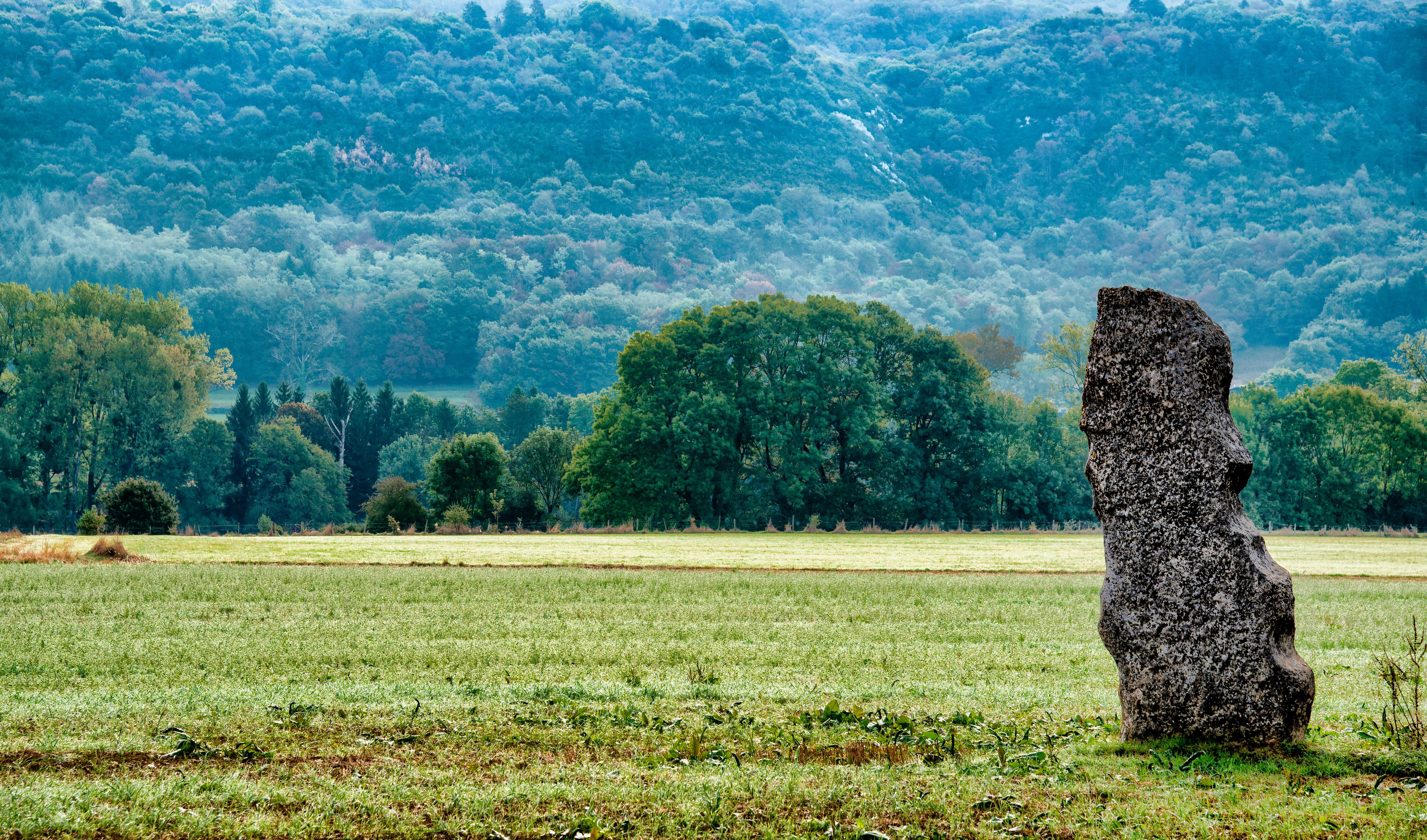 A stone monolith in a grassy field with a forested hill in the background.