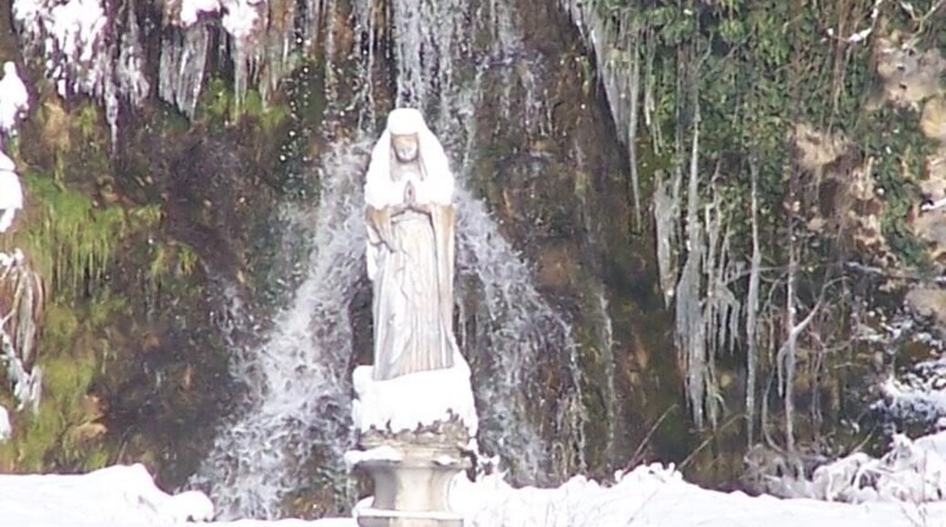 Chartreuse de Sélignac - Vierge au bassin sous la neige