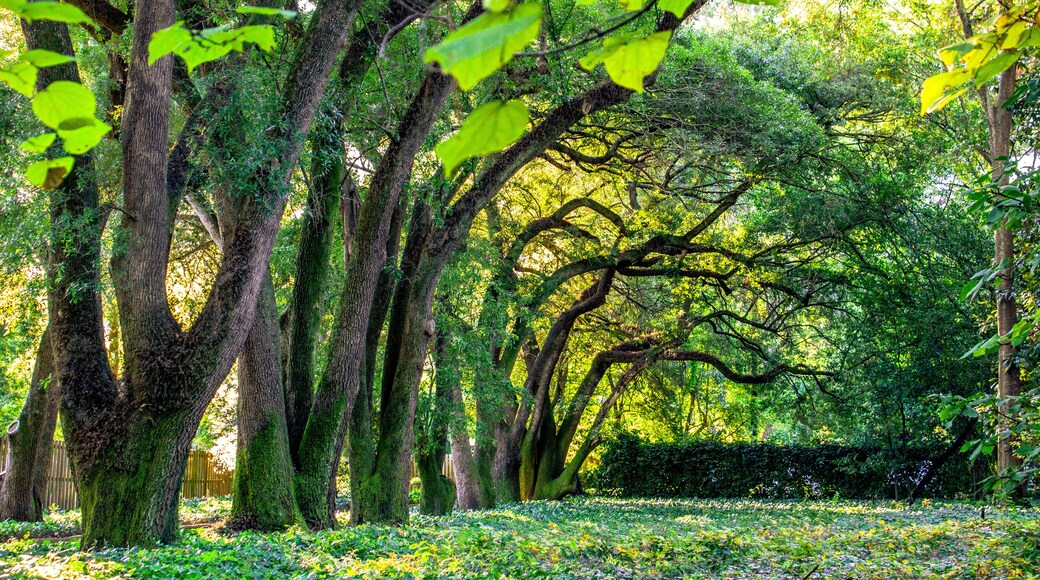 Jardins Hopeland Gardens