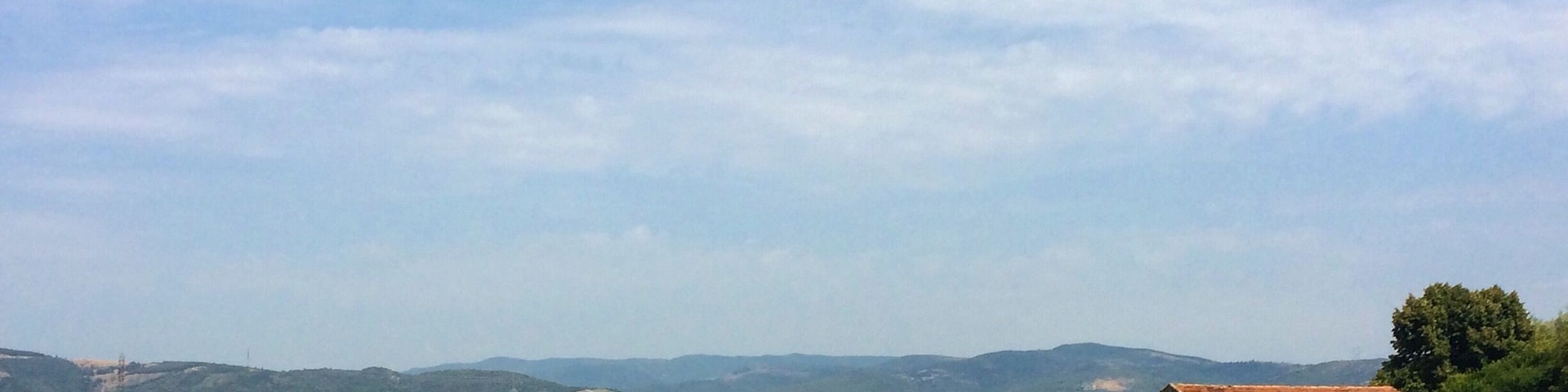 'Intently, witness;
the sea of smiling flowers;
to capture your joy.'
#haikubyphayds #colorful
One amazing drive to do in the summer - Lyon- Marseille- Cannes- Monaco route.