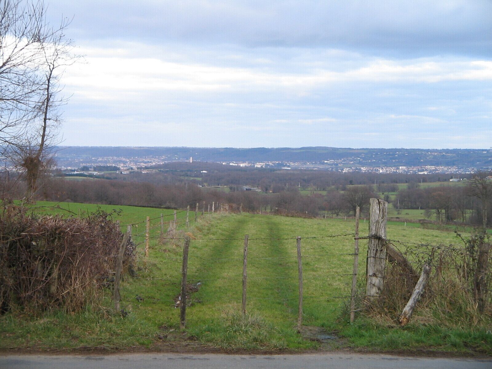 A rural landscape with a fence, trees, and a distant view of a town.