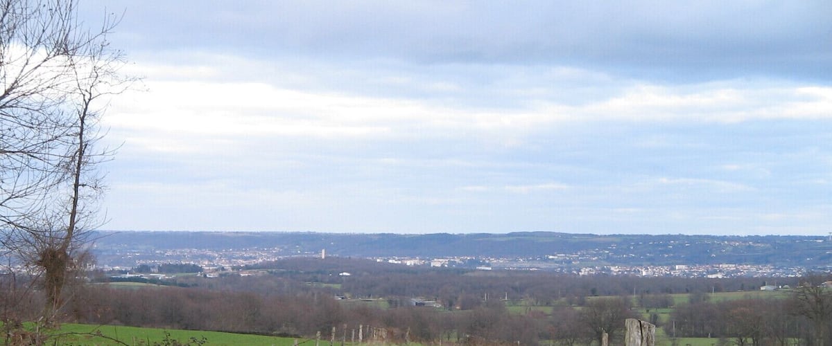 A rural landscape with a fence, trees, and a distant view of a town.