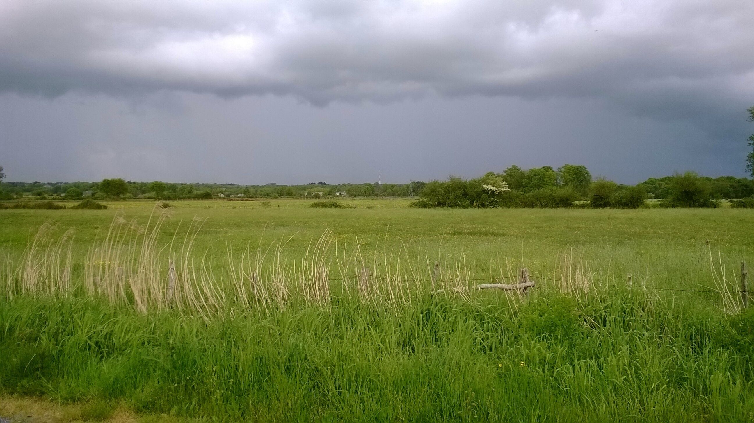 44530 Saint-Gildas-des-Bois, France