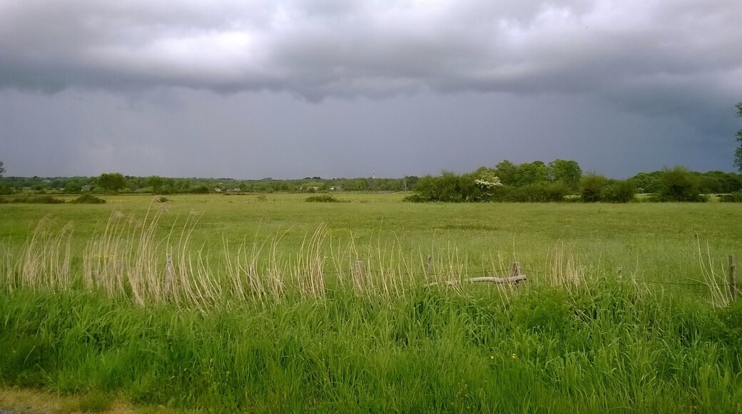 44530 Saint-Gildas-des-Bois, France