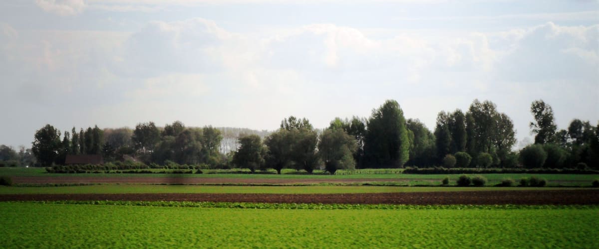 A rural landscape with fields, trees, and a cloudy sky.