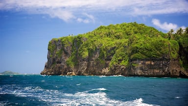 Ariel\'s Point featuring tropical scenes, rugged coastline and island views