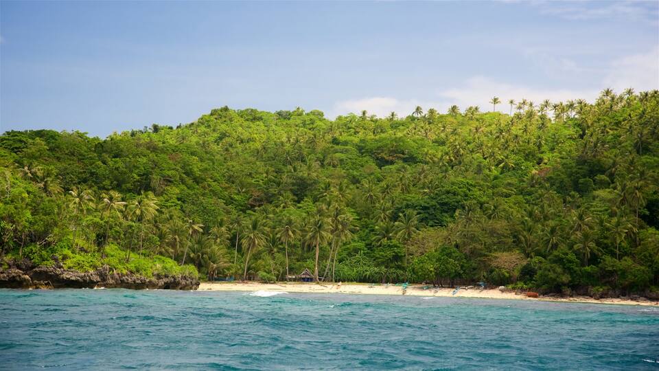 A tropical beach with clear turquoise waters, a sandy shore, and dense green foliage.