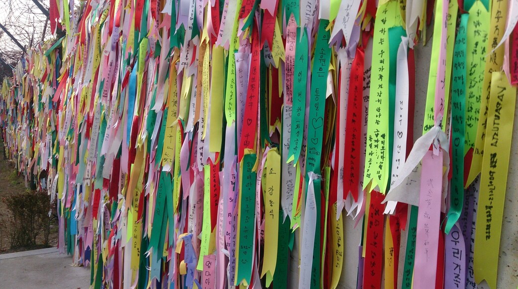 Prayer ribbons attached to a barbed wire fence near the border between North and South Korea, told they have messages of hope, dreams wishes for unification .