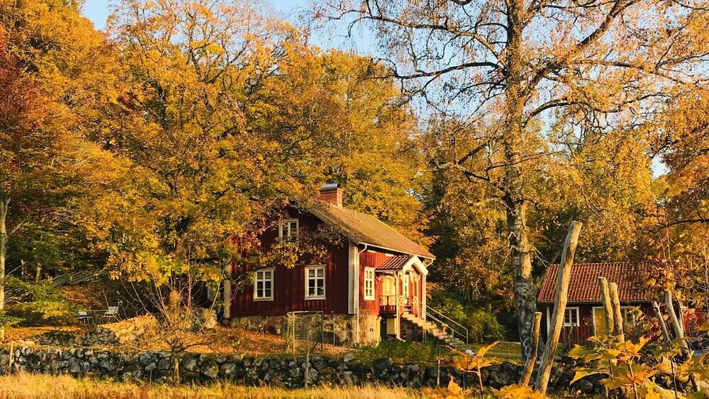 Autumn is the season you would like to spend a lot of time in the forest.