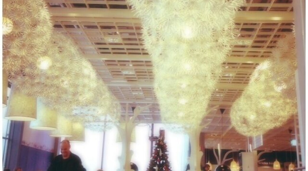 IKEA restaurant inside the store, at its hometown. Where it's originally from. IKEA's headquarter is about 6 km away from this store. IKEA, truly from the middle of nowhere to te whole world!