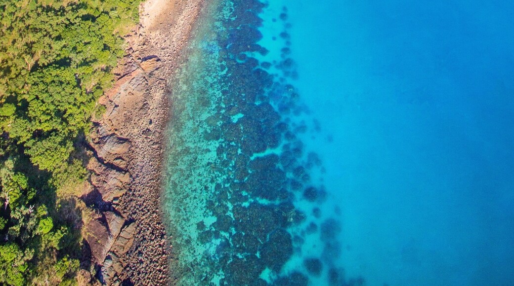 Tropical paradise just off the coast of Mackay! ☀️🐟🐠🌴😍
@keswickisland #keswickisland #islandairmackay #meetmackayregion #thisisqueensland #seeaustralia #lovethereef