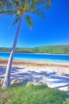 Stepping off the plane onto @keswickisland and you're immediately greeted with palm tree lined beaches and those beautiful blue waters! ✈️🐟🌴☀️
#IslandAirMackay #keswickisland #meetmackayregion #thisisqueensland #seeaustralia