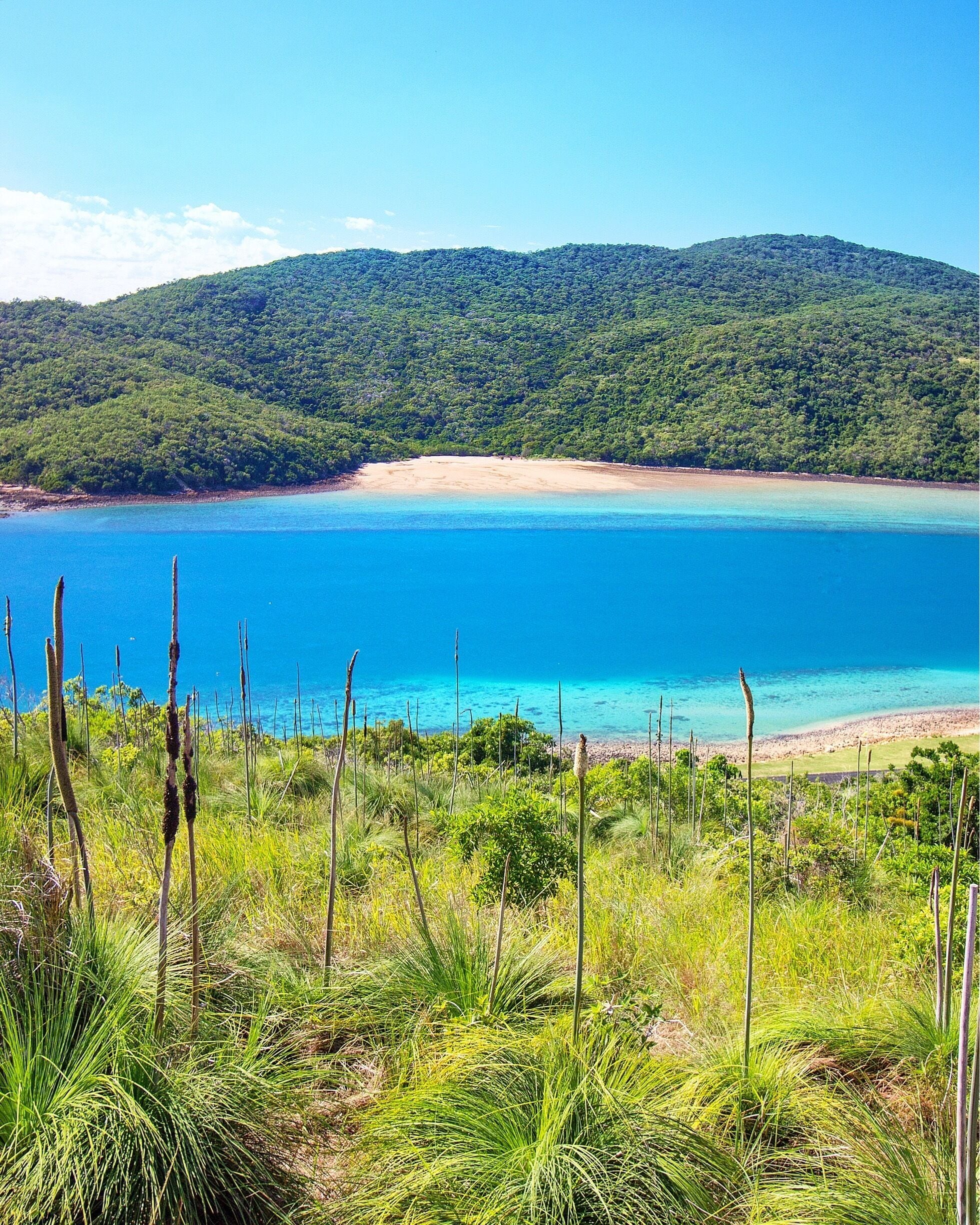 After our snorkel it was time to head off and explore the island. The best way to do this is by hiring a golf buggy. It didn't take long to find a nice vantage point up high with incredible views over the channel between Keswick and St Bees Islands! ☀️🐟🌴😀
@keswickisland #keswickisland #islandairmackay #meetmackayregion #thisisqueensland #seeaustralia #lovethereef
#Blue