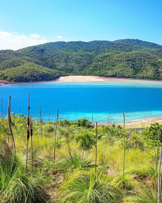 After our snorkel it was time to head off and explore the island. The best way to do this is by hiring a golf buggy. It didn't take long to find a nice vantage point up high with incredible views over the channel between Keswick and St Bees Islands! ☀️🐟🌴😀
@keswickisland #keswickisland #islandairmackay #meetmackayregion #thisisqueensland #seeaustralia #lovethereef
#Blue