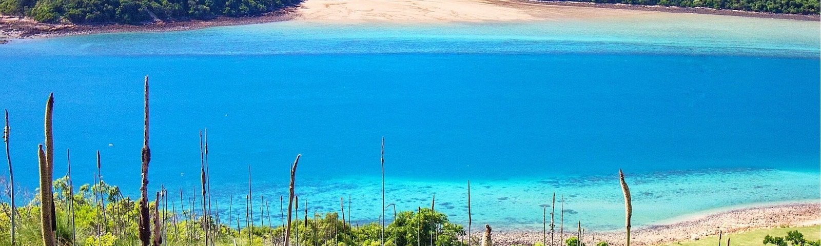 After our snorkel it was time to head off and explore the island. The best way to do this is by hiring a golf buggy. It didn't take long to find a nice vantage point up high with incredible views over the channel between Keswick and St Bees Islands! ☀️🐟🌴😀
@keswickisland #keswickisland #islandairmackay #meetmackayregion #thisisqueensland #seeaustralia #lovethereef
#Blue