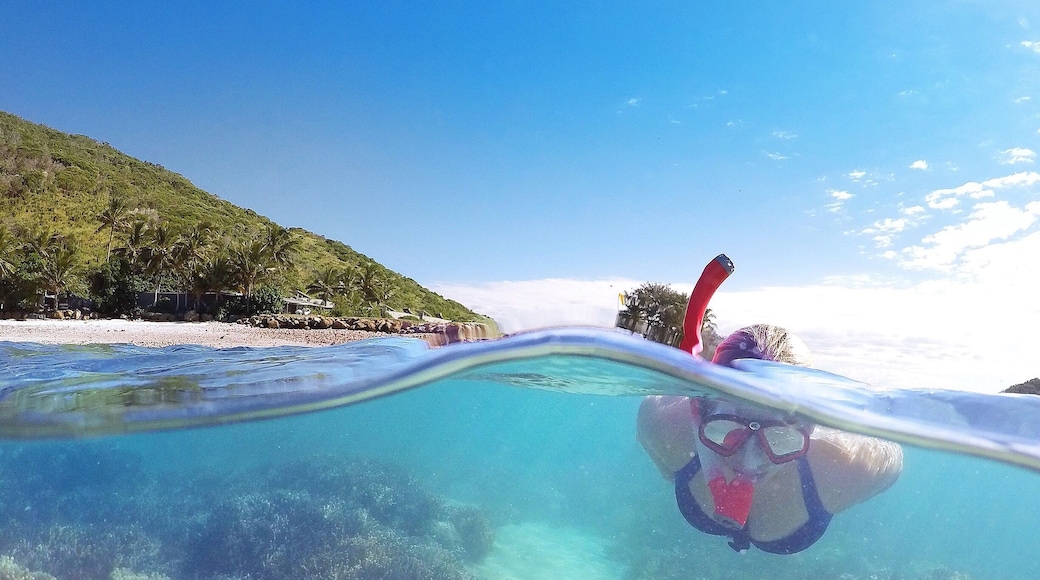 Step off the plane and straight into the crystal clear waters of Keswick Island! You can literally snorkel just off the end of the runway with some of the most vibrant coral we've ever seen on an inner reef! âïžđŽđđ
@keswickisland #keswickisland #islandairmackay #GoProANZ #kapitolreef #meetmackayregion #thisisqueensland #seeaustralia #lovethereef #Blue