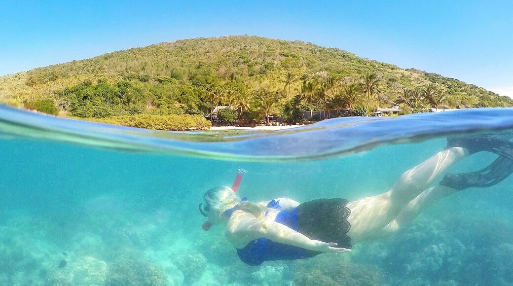 Nearly a hundred lucky people live on Keswick Island. Imagine having this in your backyard! ☀️🐟🐠🌴😍
@keswickisland #keswickisland #islandairmackay #GoProANZ #meetmackayregion #thisisqueensland #seeaustralia #lovethereef
#Blue