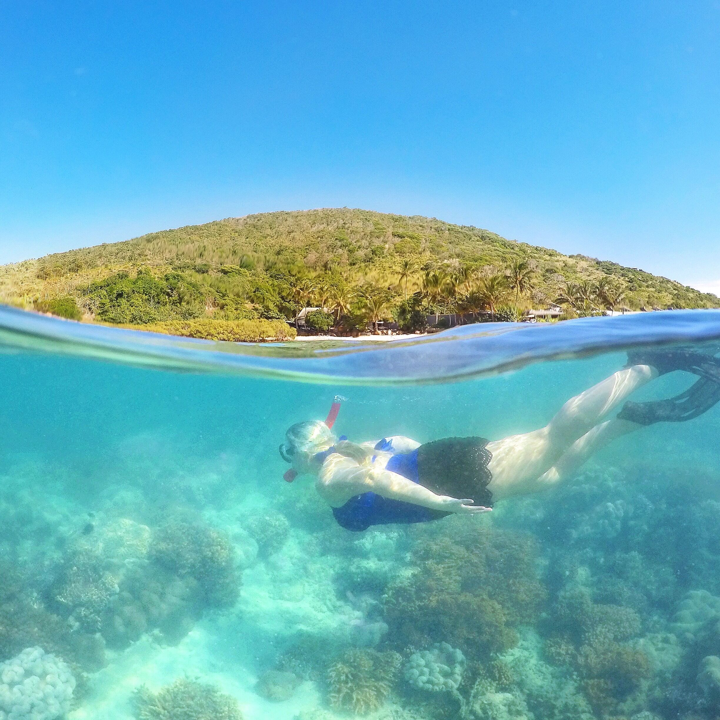 A person snorkeling underwater with a clear view of a coral reef and a hill with vegetation in the background.