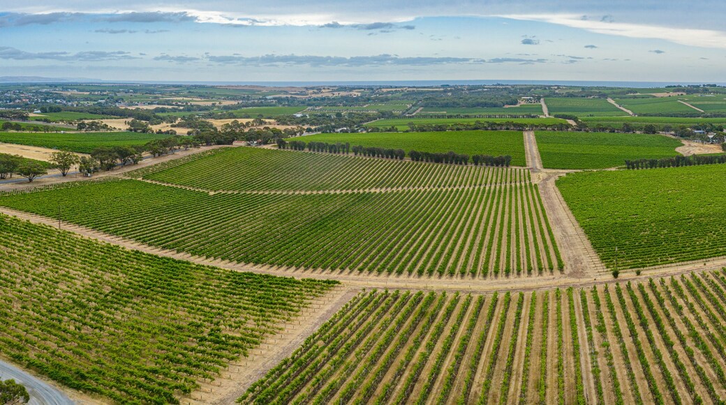 Aerial view of vineyards at McLaren Vale in Australia