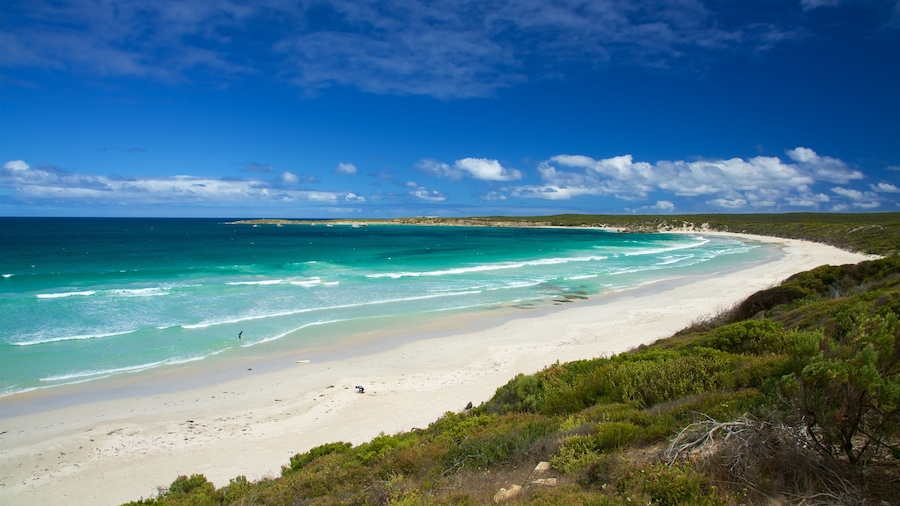 Vivonne Bay