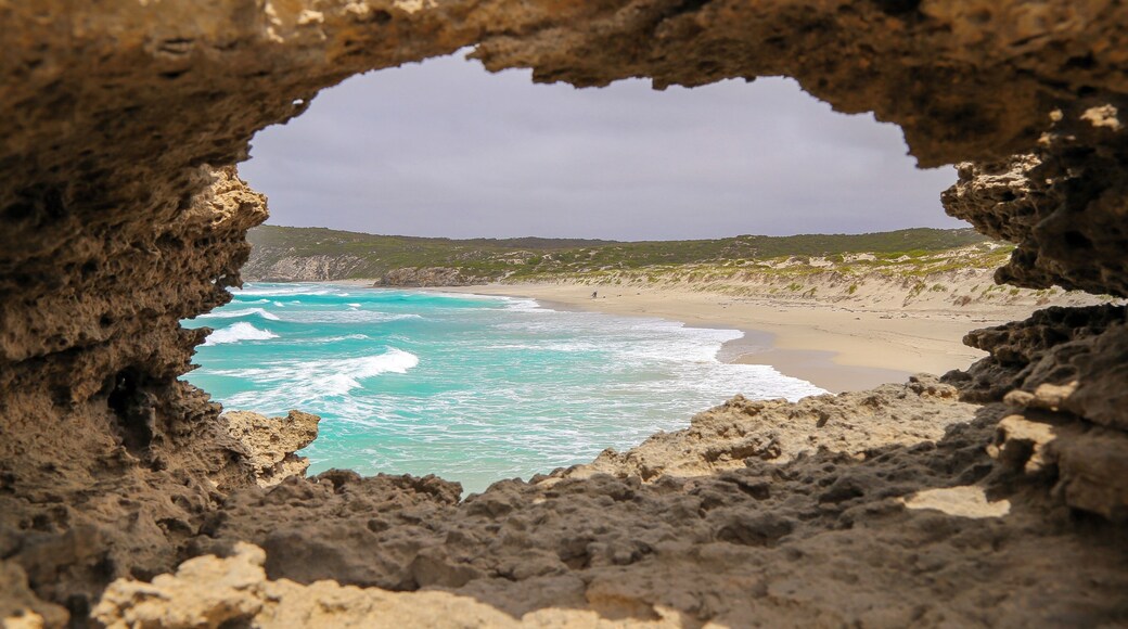 Vividness Bay park is stunning. Climb, explore, and just take it all in. Kangaroo island was our favorite part of our South Australia trip. #Adventure #Australia #SouthAustralia