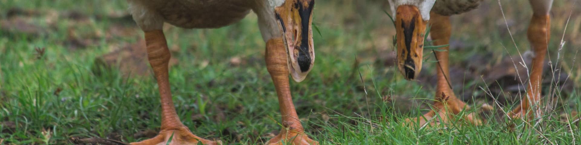 Kelva was a blissful place. It is a little far away from mumbai but once you reach there you will come to know that it feels exactly like you native place. It is an excellent place for street and nature photographers.