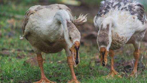 Kelva was a blissful place. It is a little far away from mumbai but once you reach there you will come to know that it feels exactly like you native place. It is an excellent place for street and nature photographers.